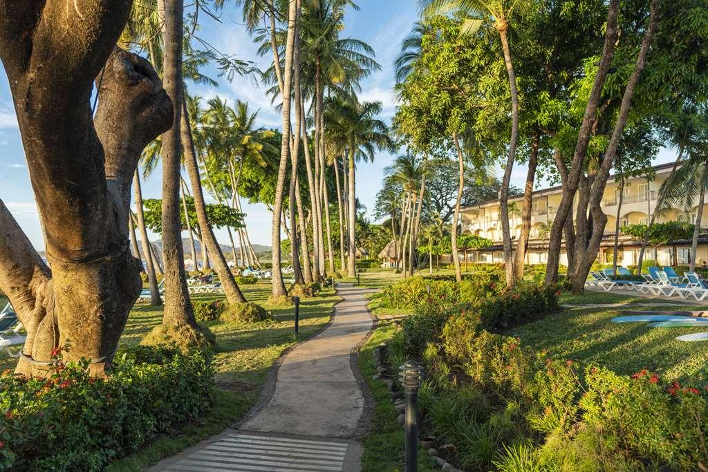 Hotel Tamarindo Diria Beach Resort Facilități foto