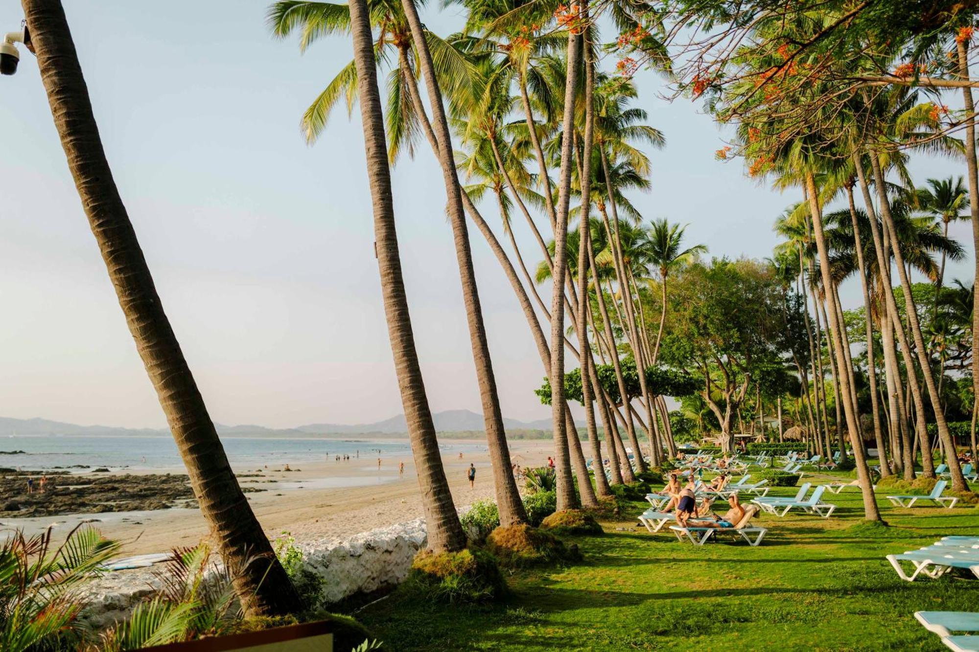 Hotel Tamarindo Diria Beach Resort Exterior foto